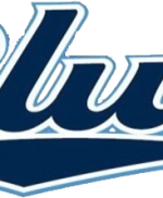 brothers in blue logo