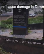 fox8vid