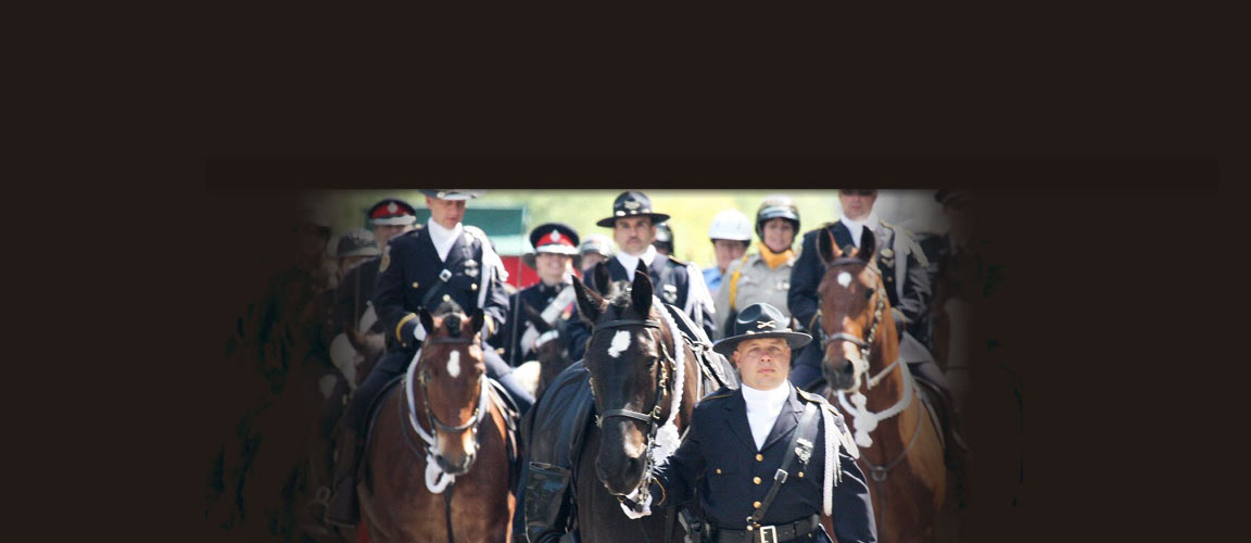 Greater Cleveland Peace Officer Memorial Commemoration Parade Caparisoned Horse